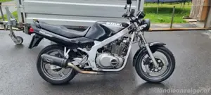 Suzuki GS500eu Bild 3