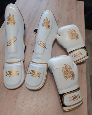 Kickboxen, Boxhandschuhe und Schienbeinschutz, Kampfsport Bild 3