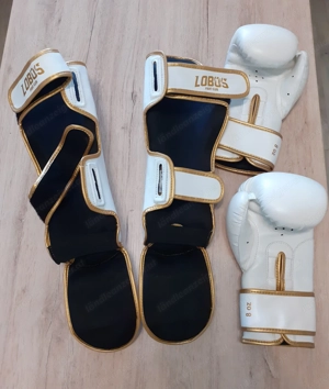 Kickboxen, Boxhandschuhe und Schienbeinschutz, Kampfsport Bild 2