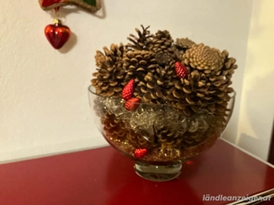 Zapfen von einer Schwarzkiefer