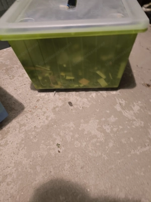 Lego plus Kiste  Bild 3