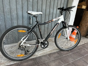 Genesis Mountain Bike MTB Bild 3