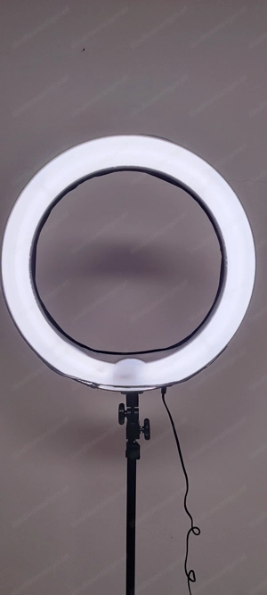 Studio Ringleuchte von Dörr Bild 3