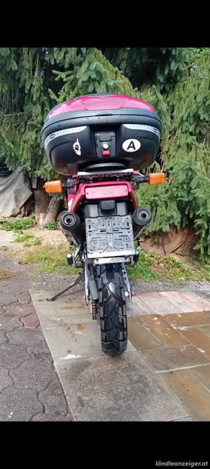 Suzuki 800DR  Bild 4