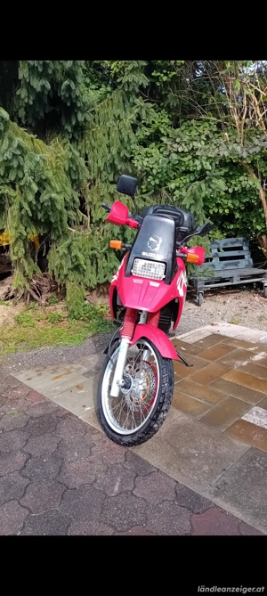Suzuki 800DR  Bild 3