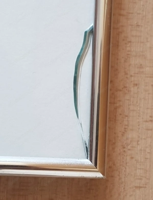 Landschaft mit exotischen Tieren mit Kilimandscharo im Hintergrund, Farbradierung von Francis Lubas  Bild 6