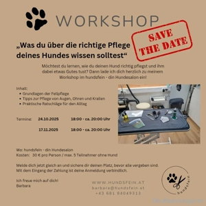 Fellpflege - leicht gemacht