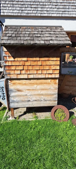 Pizza und Brotofen mit viel Zubehör  Bild 3