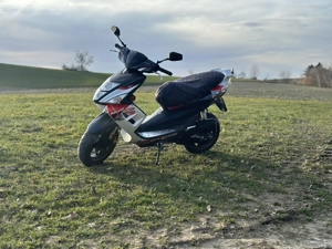 TGB Bullet TGB Bullet 50 Moped Mofa Roller   Scooter Bild 3