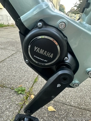 E-Trekkingbike Raymon Bild 2