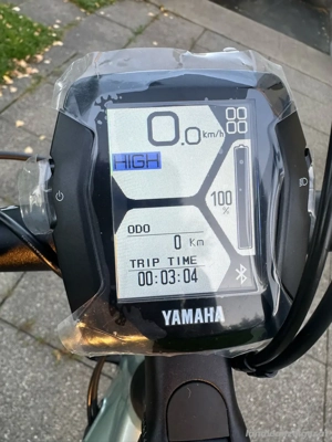 E-Trekkingbike Raymon Bild 3