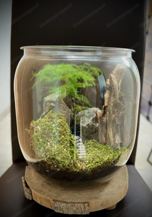 Terrarium Mountains
