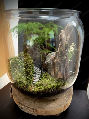 Terrarium Mountains Bild 3