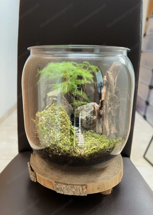 Terrarium Mountains Bild 2