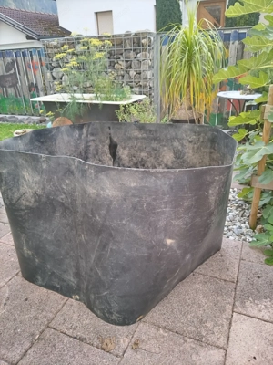 Wurzelsperre Ring mit 100 cm Durchmesser