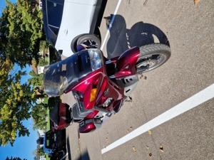 Honda Paneuropen Bild 6