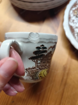 Kaffee-und Speiseservice der Marke Royal Tudor Ware Staffordshire 691