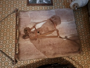 Pferdekopfbild aus Hasenfell