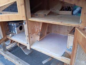 Hasenstall zu verkaufen Bild 2