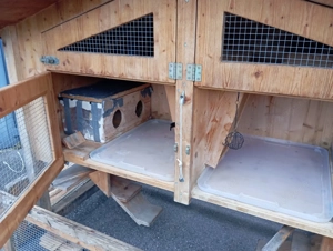 Hasenstall zu verkaufen Bild 3