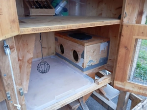 Hasenstall zu verkaufen Bild 4