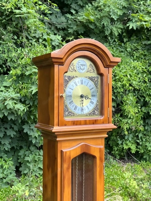 Biedermeier Standuhr Stilmöbel Uhr Barock Vitrine Eckvitrine Eibe England Bild 2