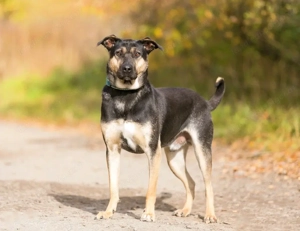 Wer hat platz für den liebevollen Seen?! Bild 2