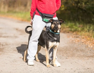 Wer hat platz für den liebevollen Seen?! Bild 3