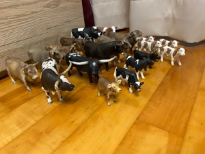 Verschiedene Schleich Kühe