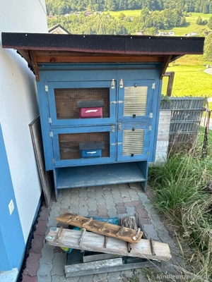 isolierter, überdachter Hasenstall Bild 2