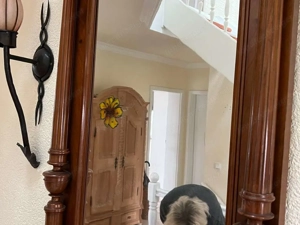 Gründerzeit Kommode Spiegel mit Konsole 1880 Nussbaum Garderobe Dielena  Bild 3