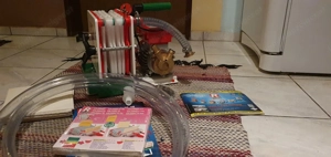 Filterpumpe, Schnaps, Rover, Colombo Bild 3