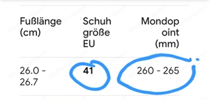 Skischuh Head Größe 41
