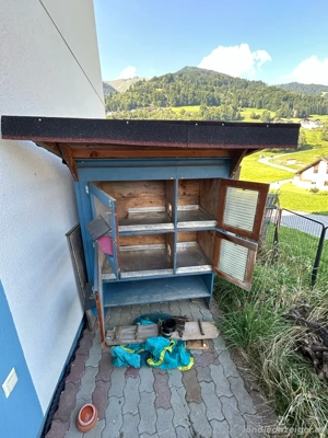 isolierter, überdachter Hasenstall Bild 3