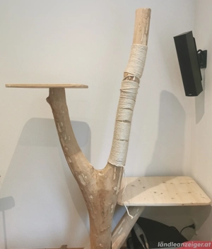 Katzenbaum mit echtem Stamm Bild 2