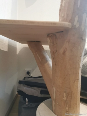 Katzenbaum mit echtem Stamm Bild 3