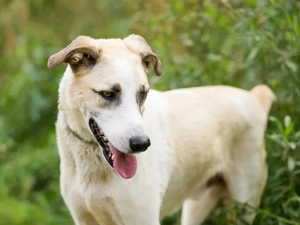 Kannst du Nemo lieben trotz handicap?! Bild 4