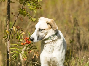 Kannst du Nemo lieben trotz handicap?! Bild 5