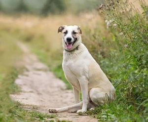 Kannst du Nemo lieben trotz handicap?! Bild 2