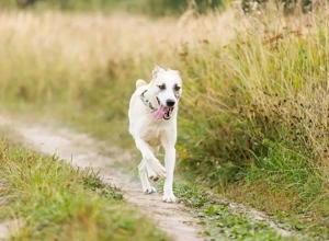 Kannst du Nemo lieben trotz handicap?! Bild 3