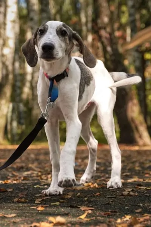 Ritz sucht seine Familie Bild 2