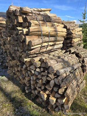 Trockenes Brennholz zu verkaufen Bild 3