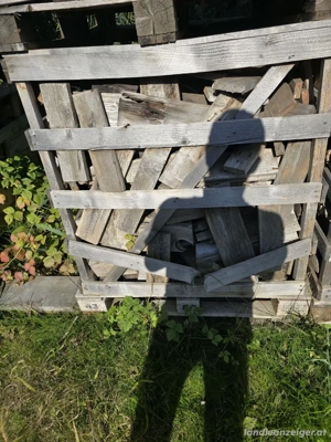 Trockenes Holz billig zu verkaufen Bild 2