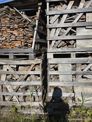Trockenes Holz billig zu verkaufen Bild 3