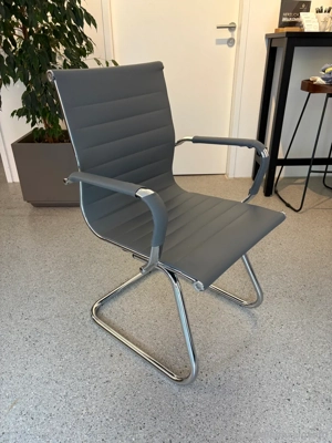 Stühle Freihschwinger WAHSON Bild 2