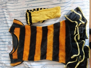 Bienen Kostüm Bild 2