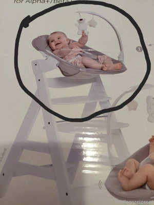 Baby Sitz  Bouncer Hauck Bild 6