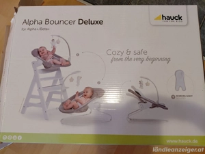 Baby Sitz  Bouncer Hauck Bild 5