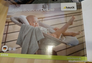 Baby Sitz  Bouncer Hauck Bild 4