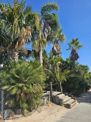 Urlaub Portugal Algarve Ferienhaus Bild 5